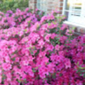 Meet your Posher, Becky